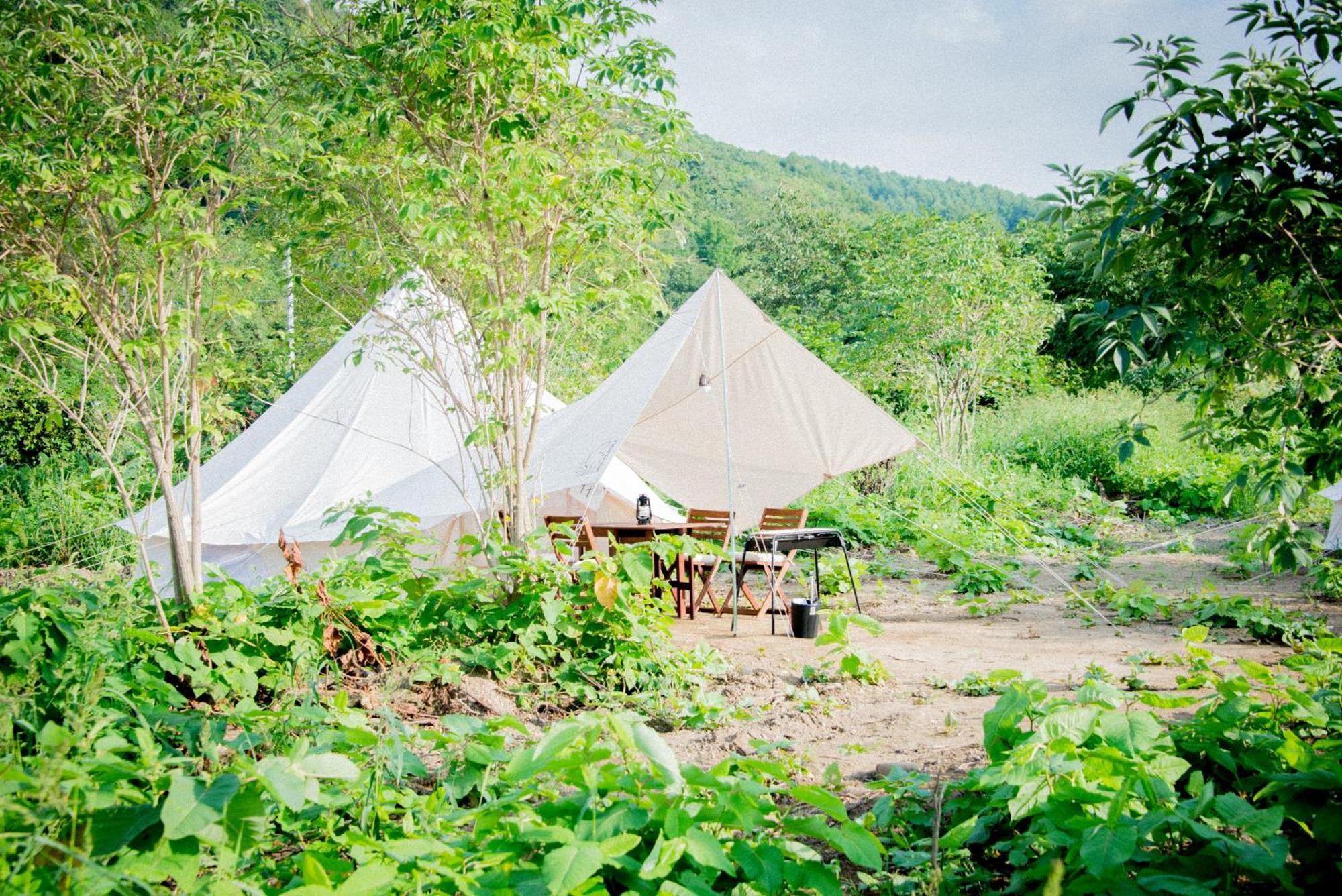 Yoichi Vineyard Glamping Hotel Kültér fotó